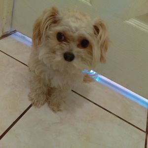 Meet your Posher, Shantelle